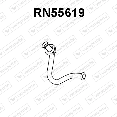 RN55619