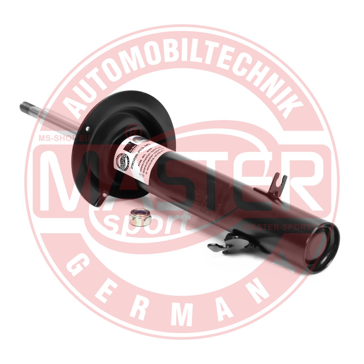 290236-PCS-MS