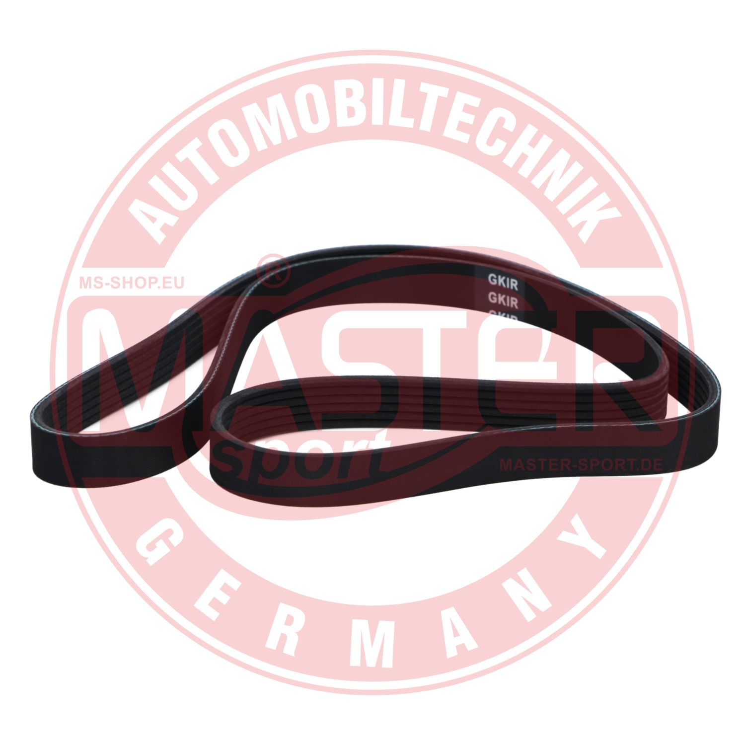 6PK1310-PCS-MS