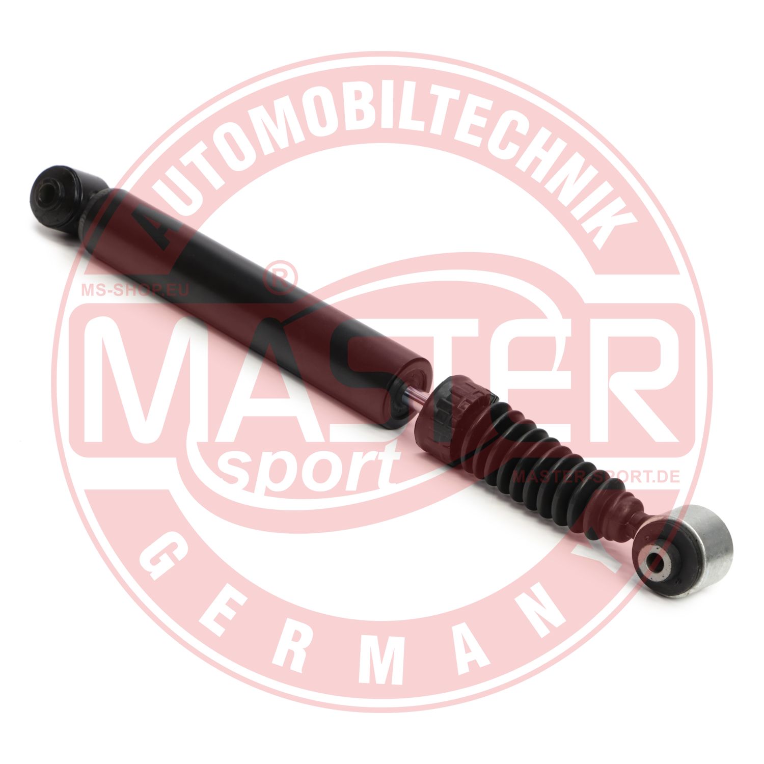 313683-PCS-MS