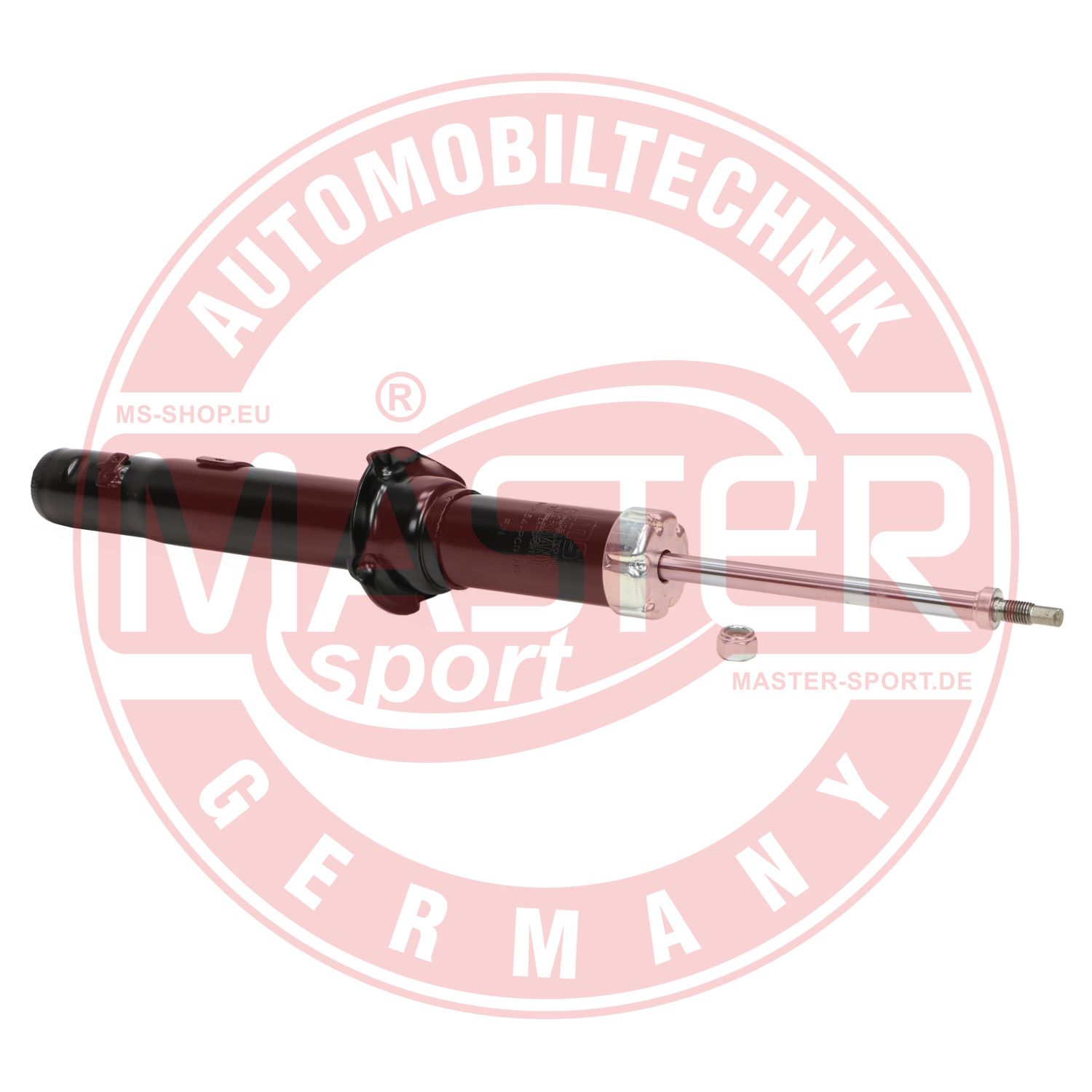 313854-PCS-MS