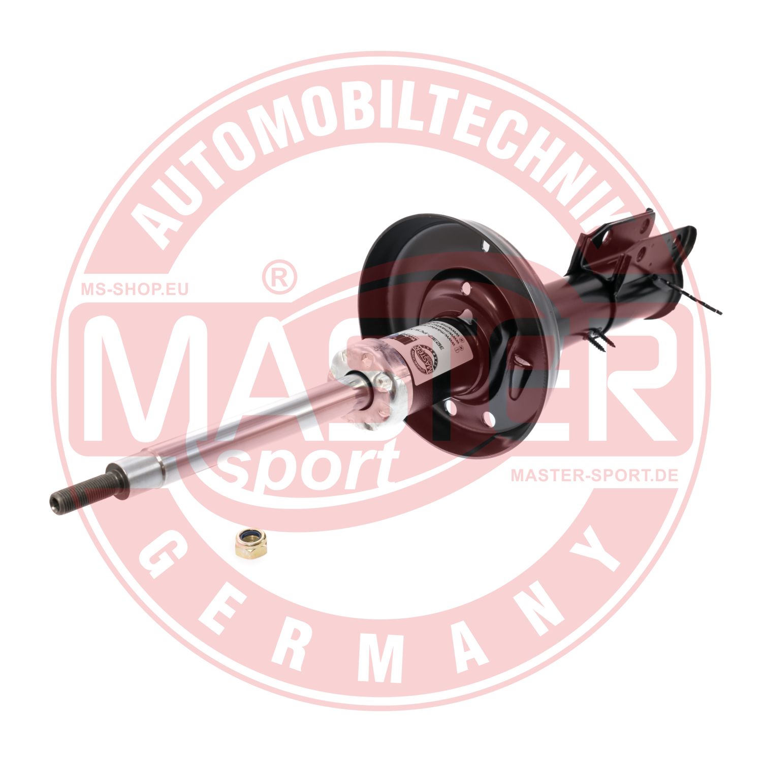 312317-PCS-MS