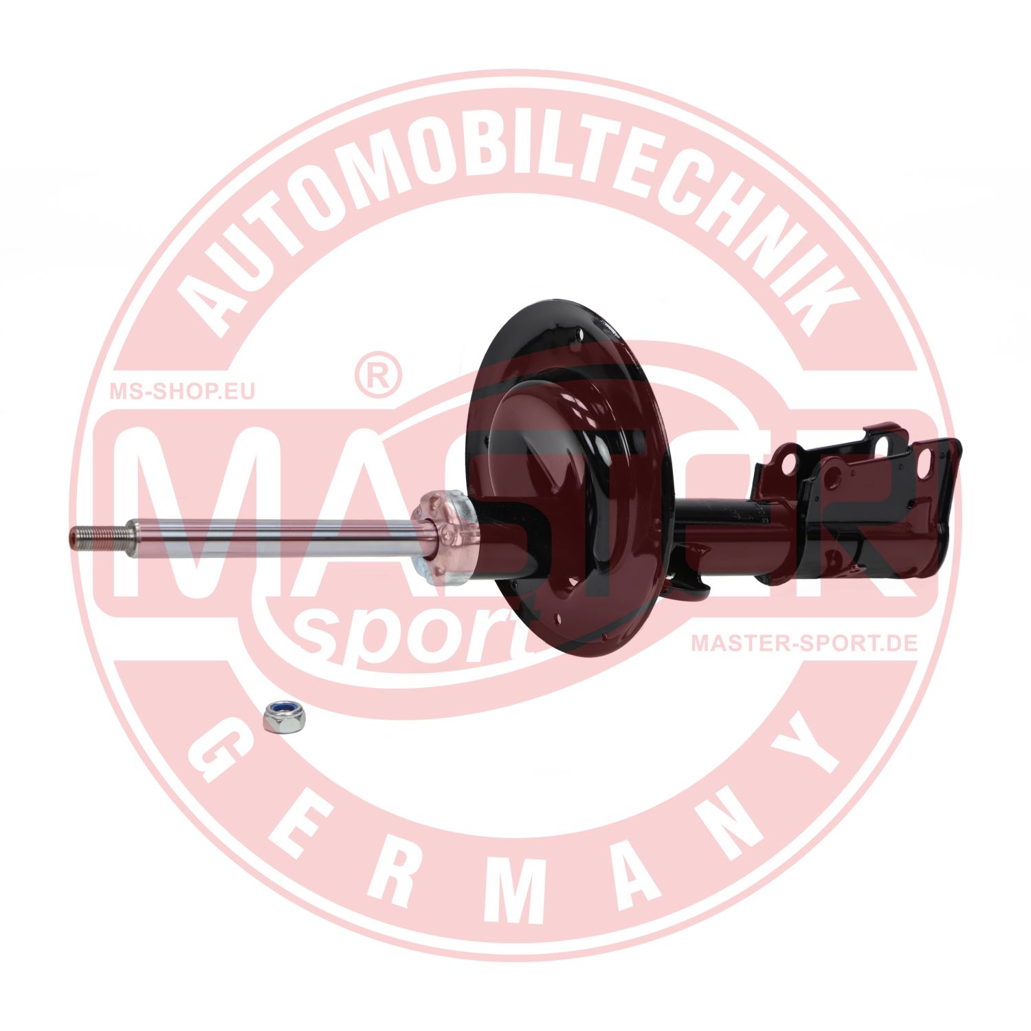 310202-PCS-MS