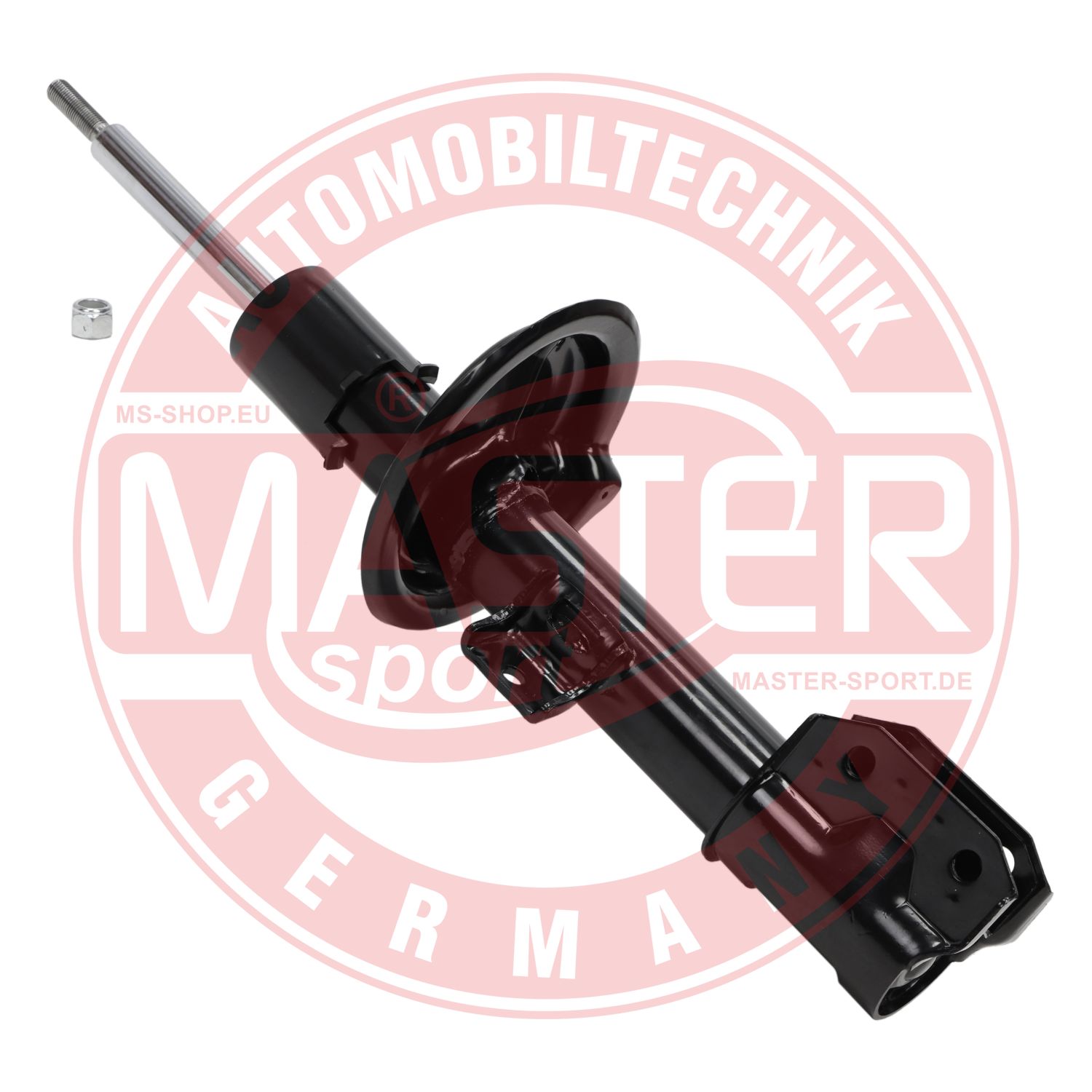 312818-PCS-MS