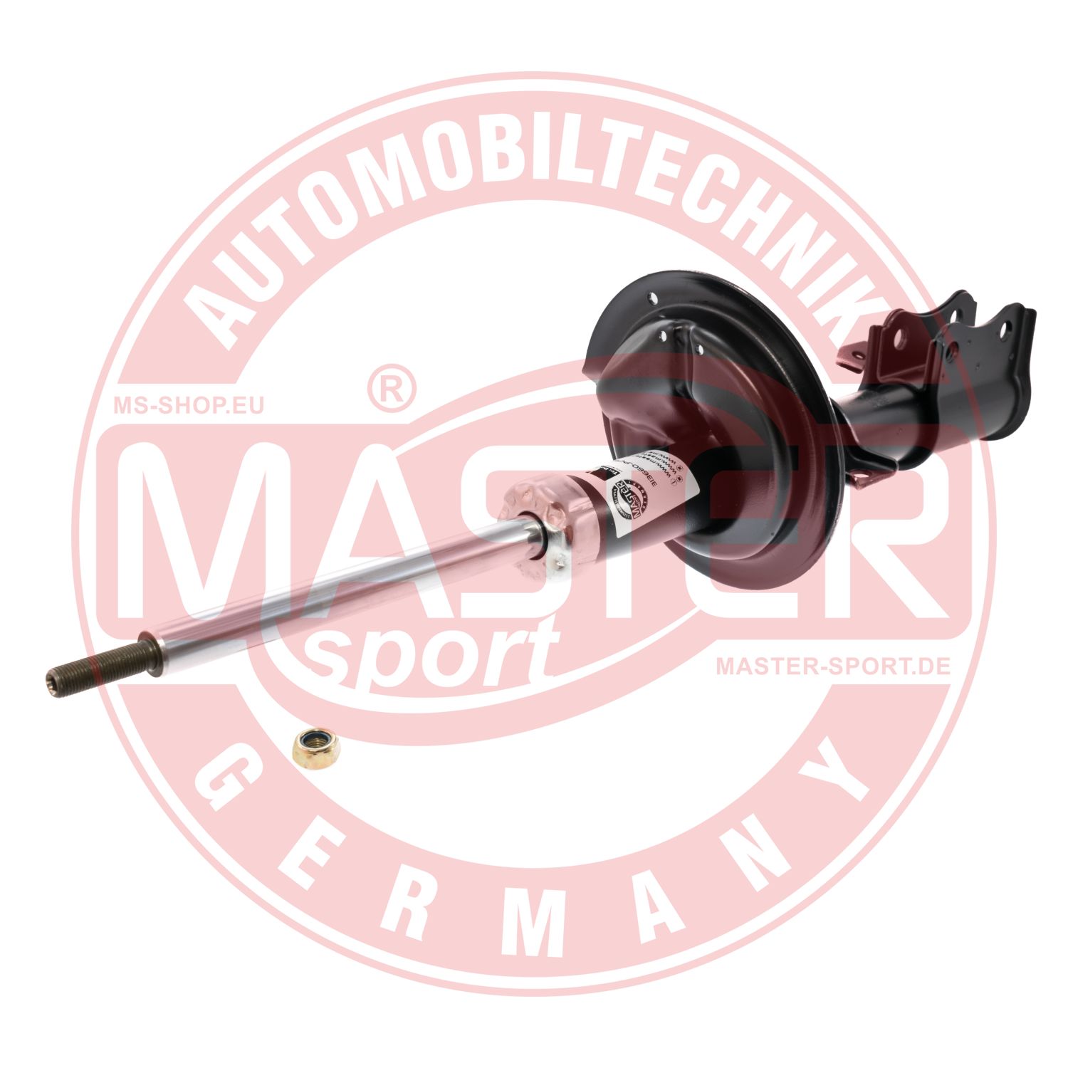 313660-PCS-MS