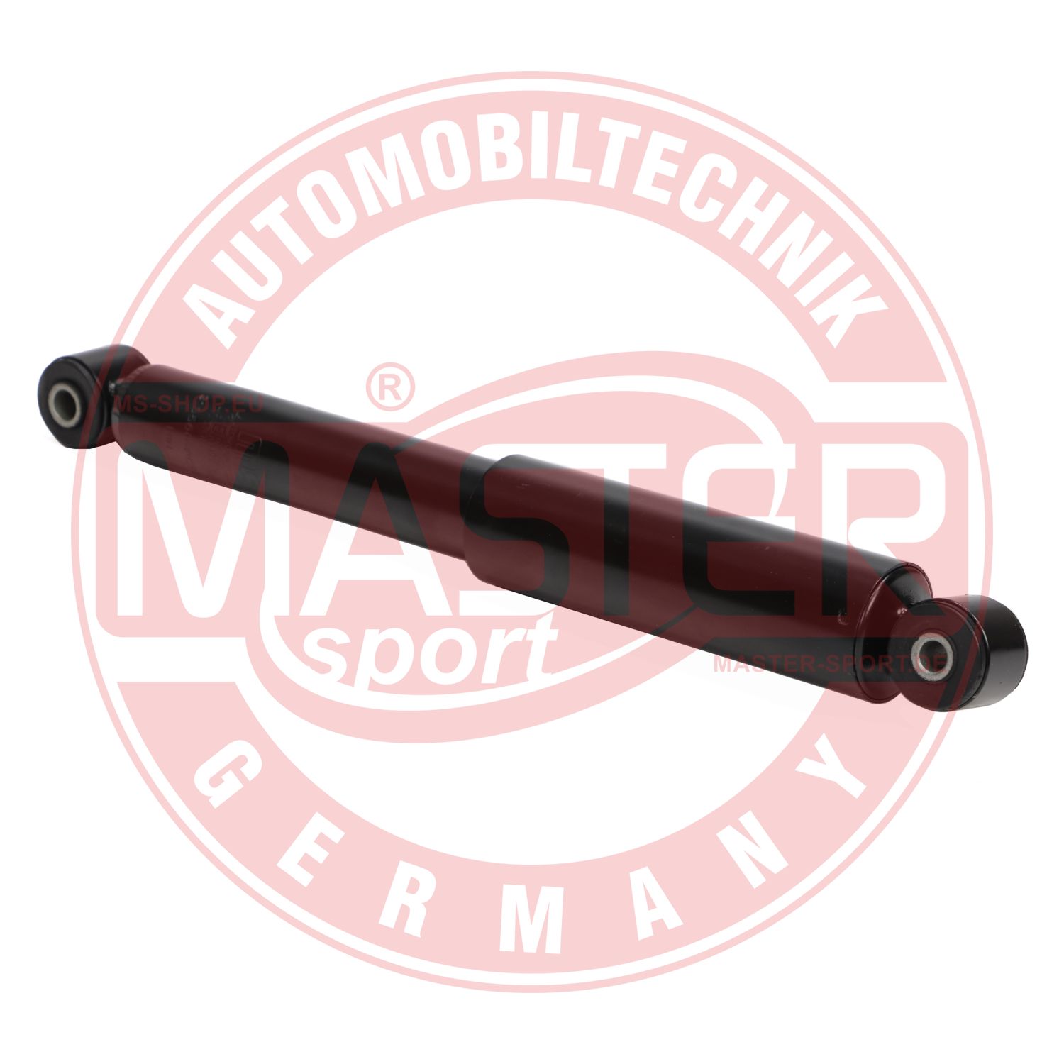 313560-PCS-MS