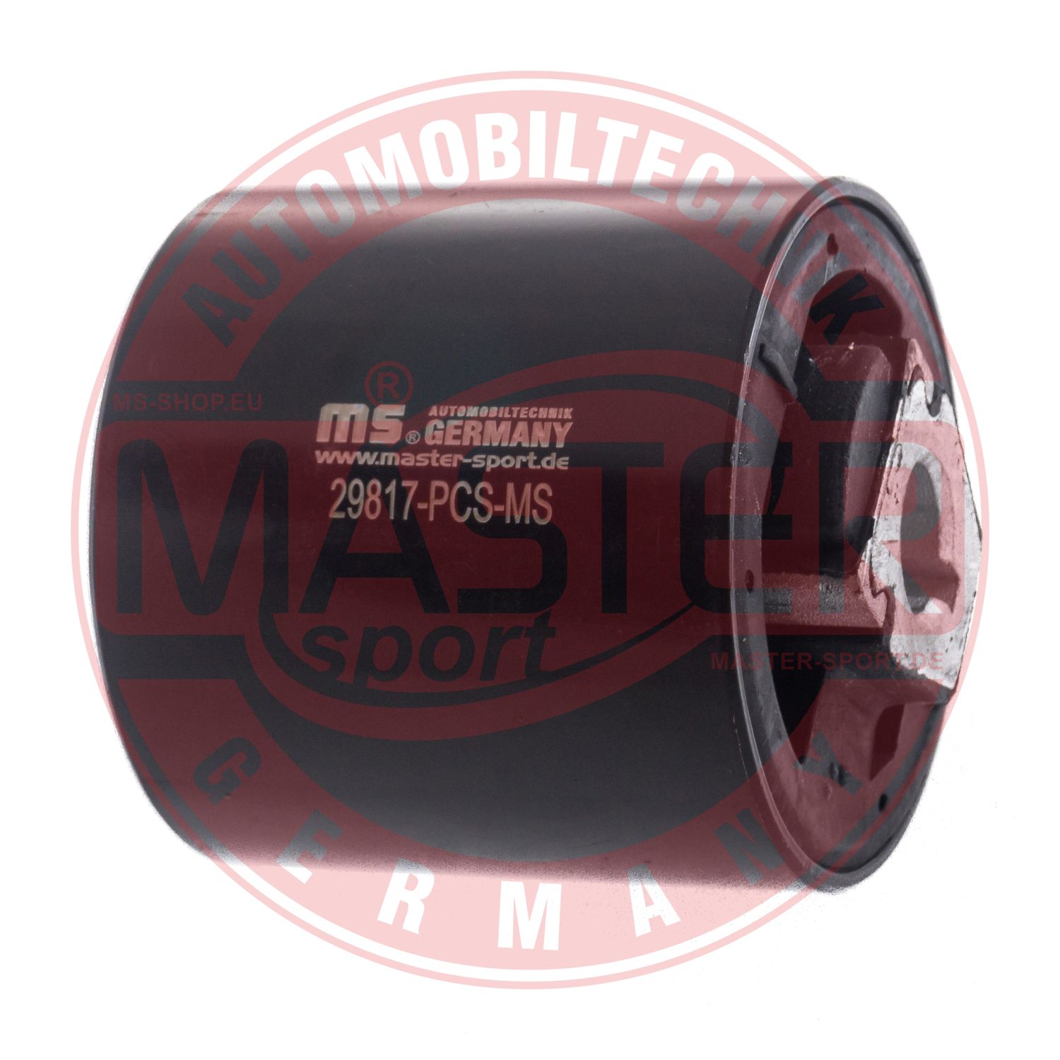 29817-PCS-MS