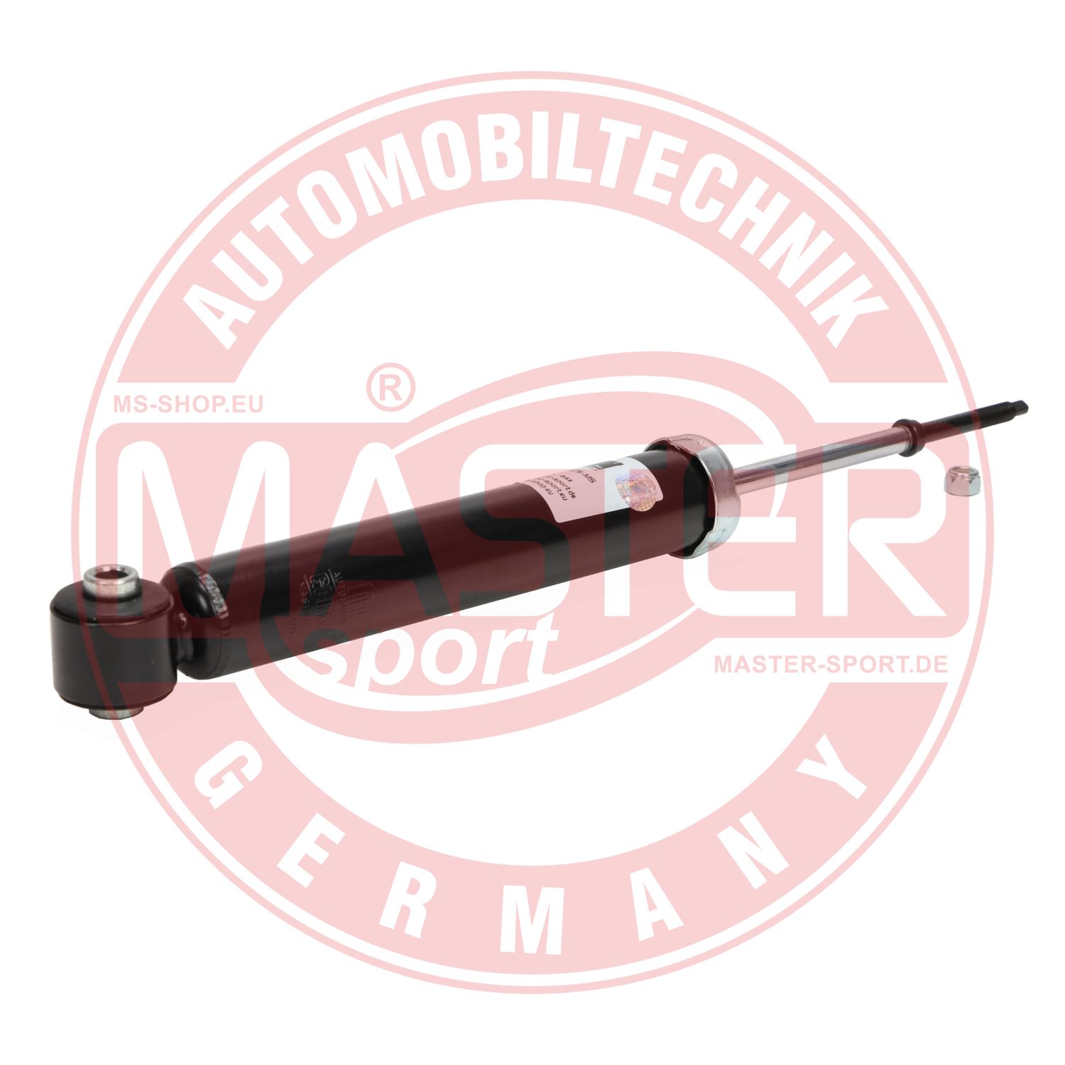 317100-PCS-MS