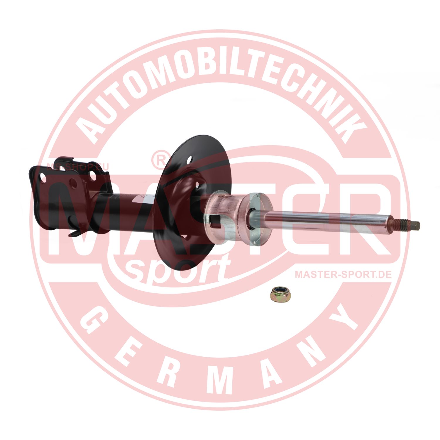 290870-PCS-MS