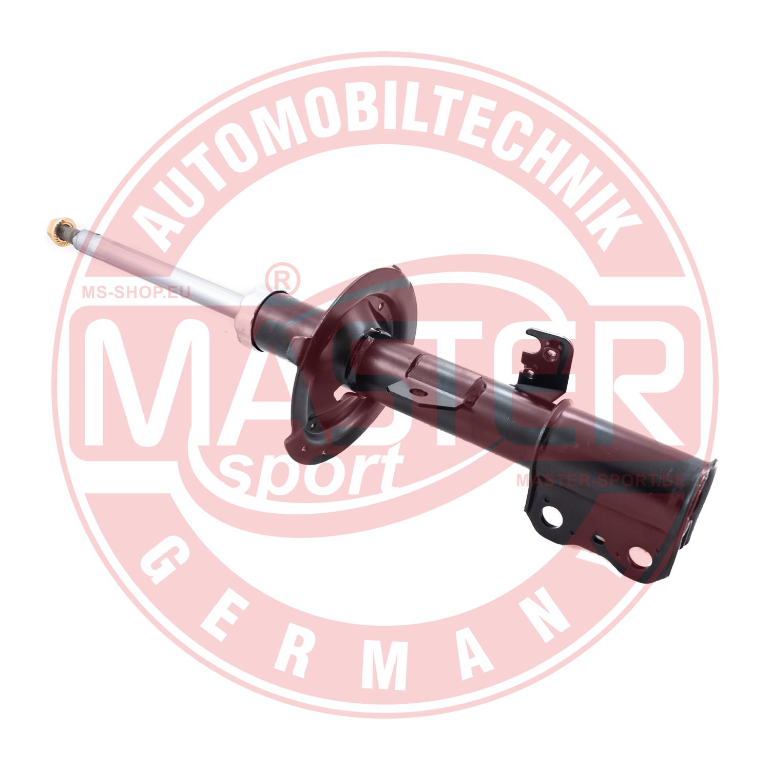 313865-PCS-MS
