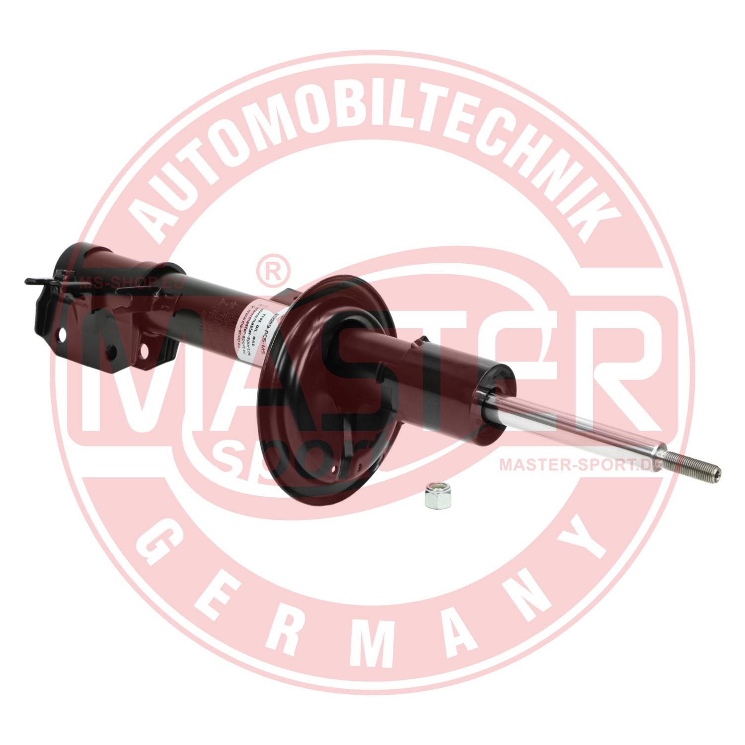 312819-PCS-MS