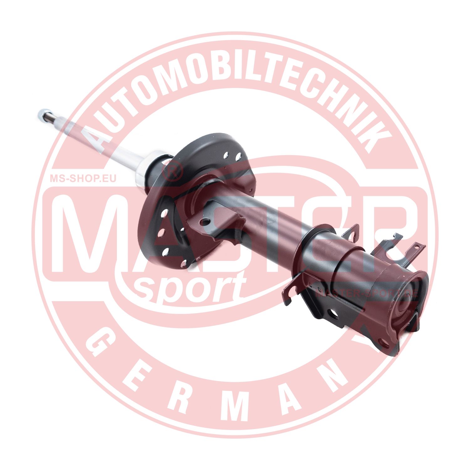 313566-PCS-MS