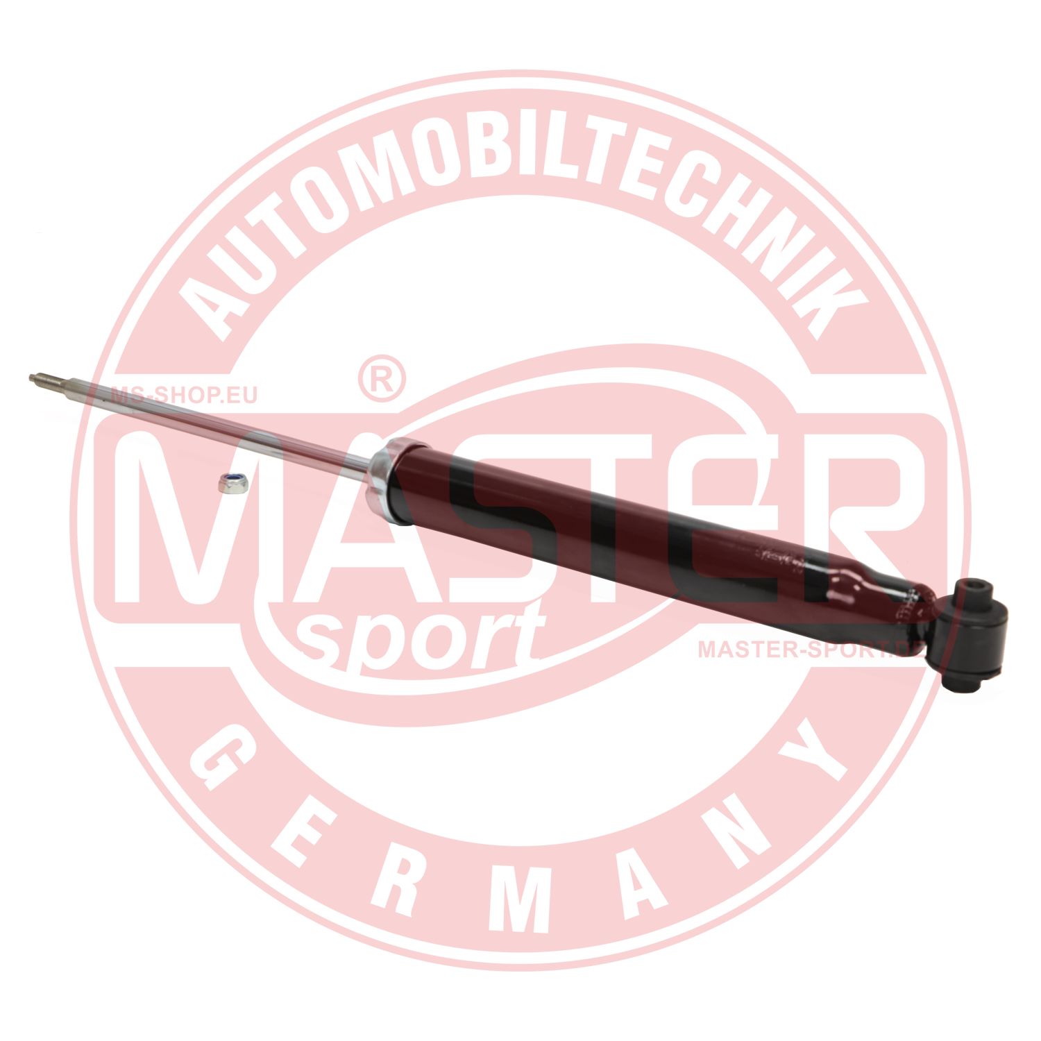 290965-PCS-MS