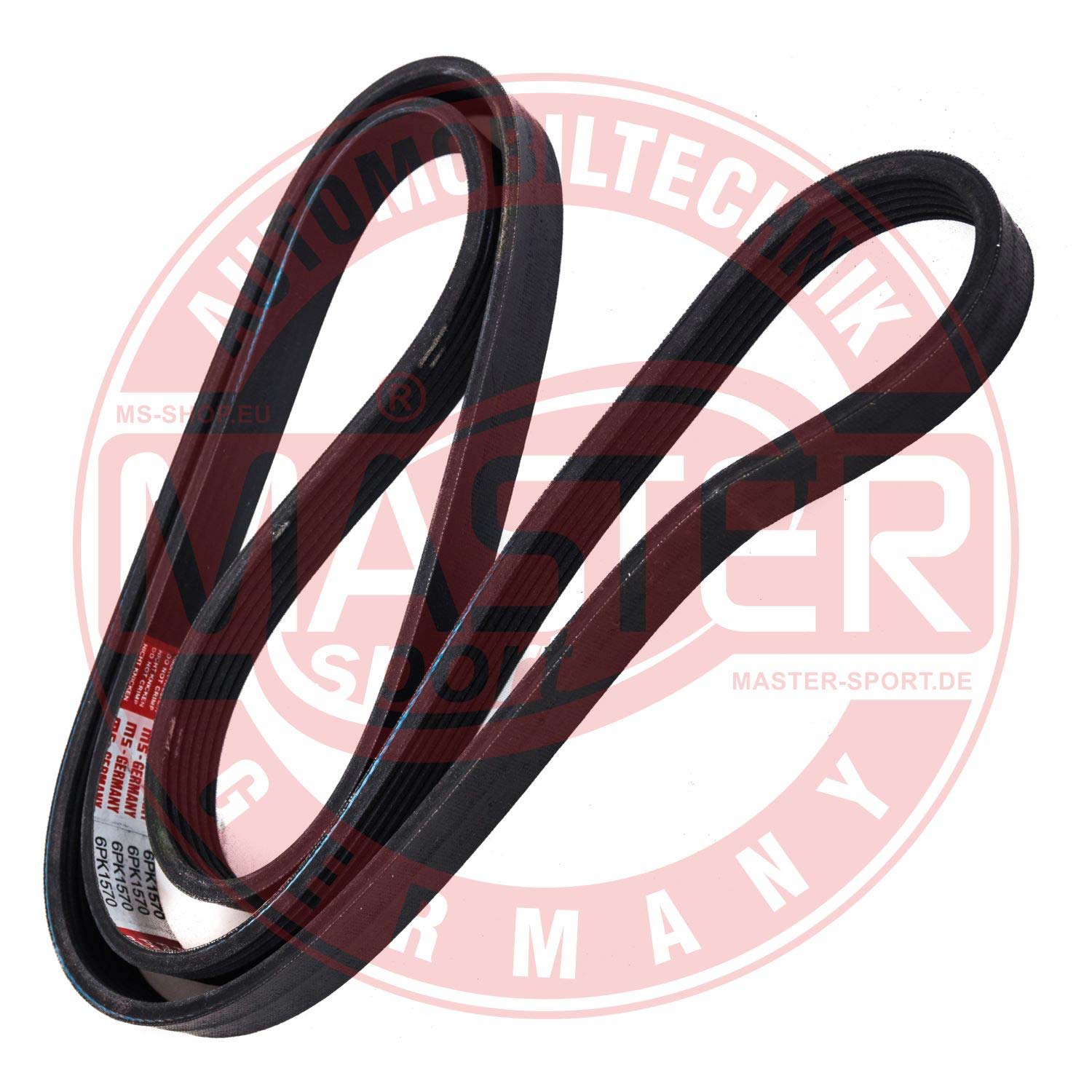 6PK1565-PCS-MS
