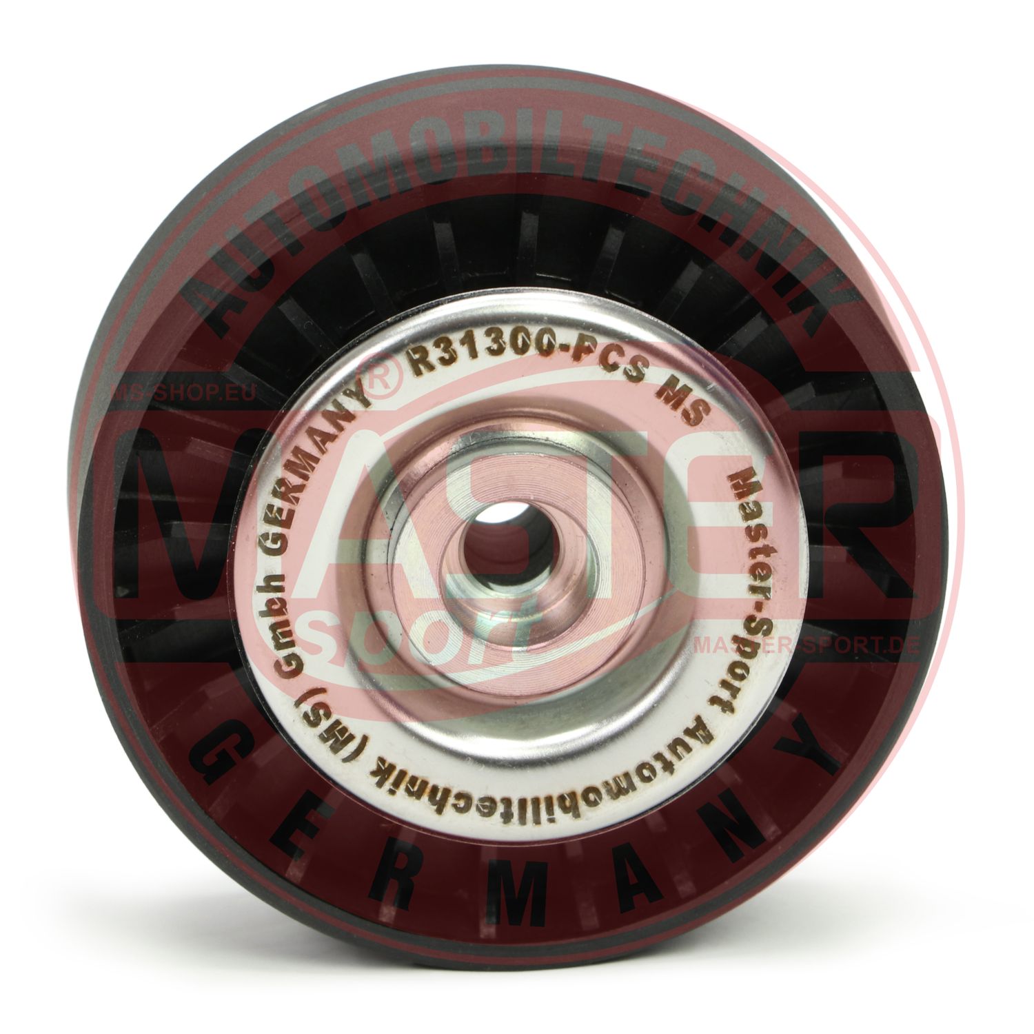 R31300-PCS-MS