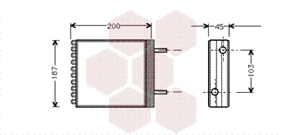 59006066