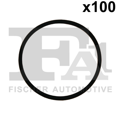 N 909 273 01