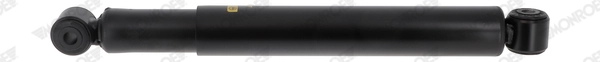 T1207