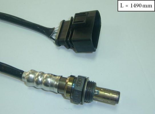 SLS-13313