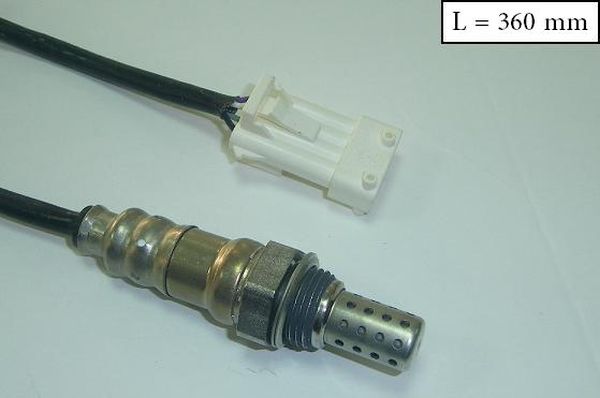 SLS-13184