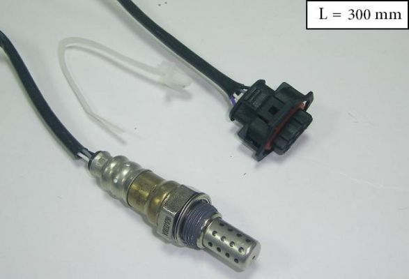 SLS-13223