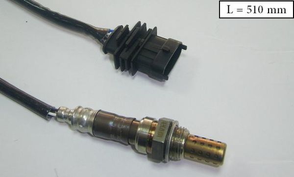 SLS-13236