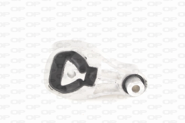 EMS4010.00