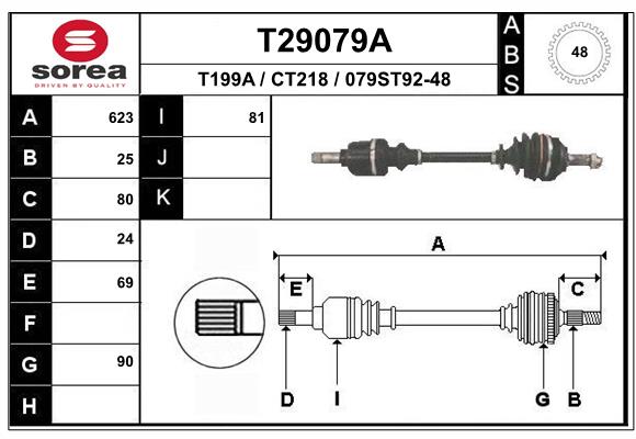 T29079A