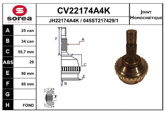 CV22174A4K