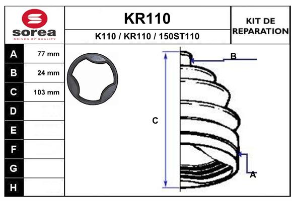 KR110