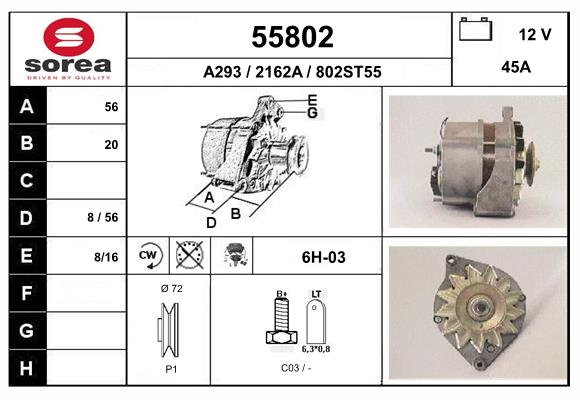 55802