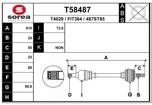 T58487