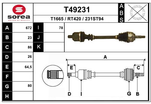 T49231