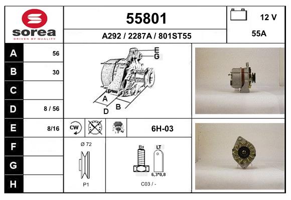 55801