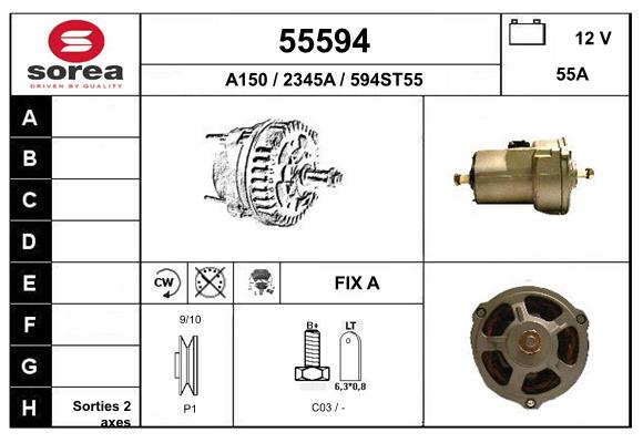 55594