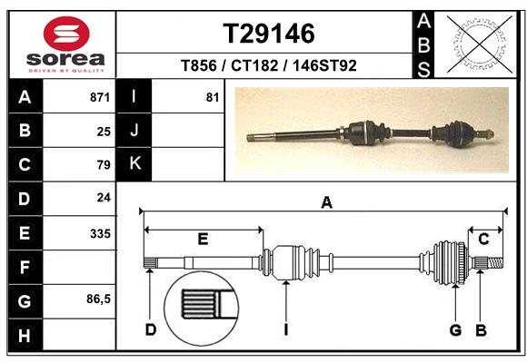 T29146