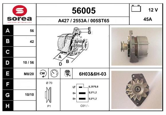 56005