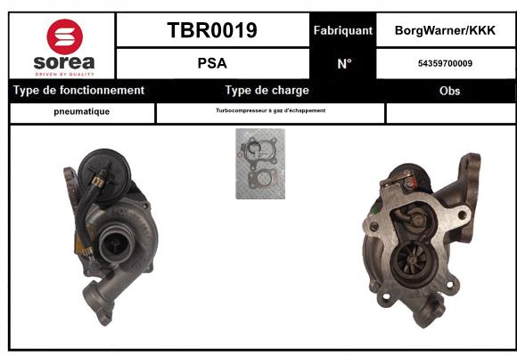 TBR0019