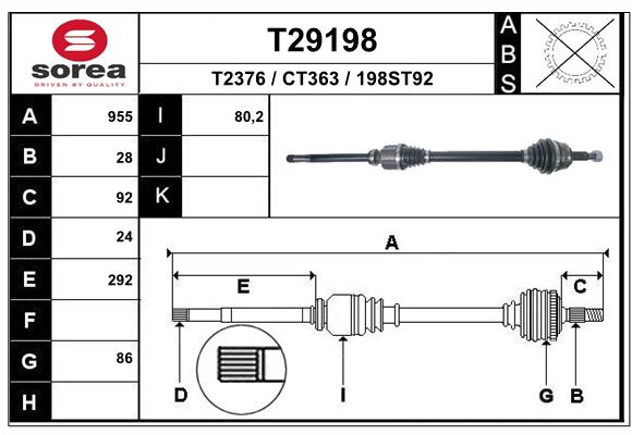 T29198