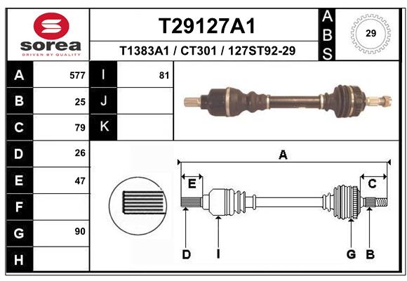 T29127A1