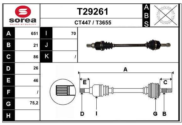 T29261