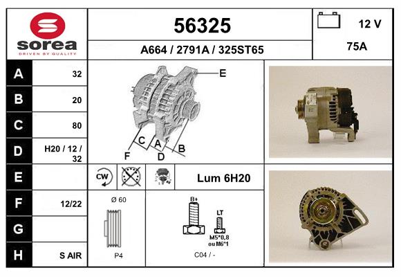 56325