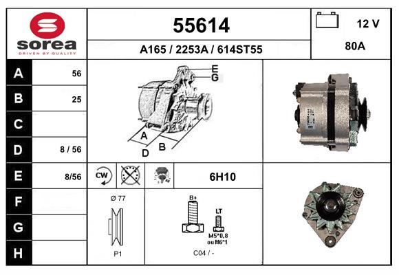 55614