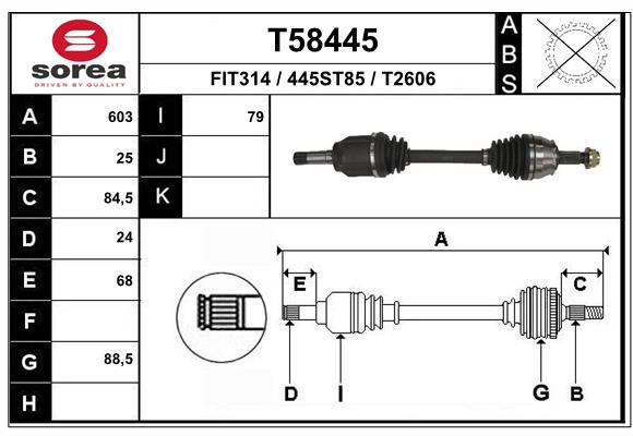 T58445