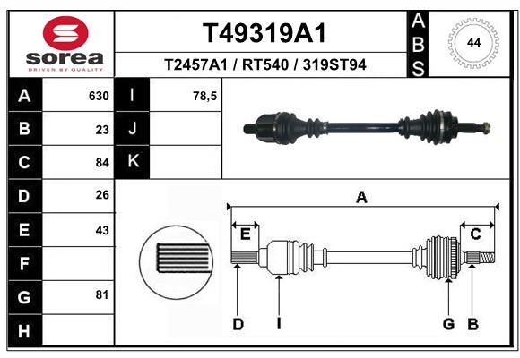 T49319A1