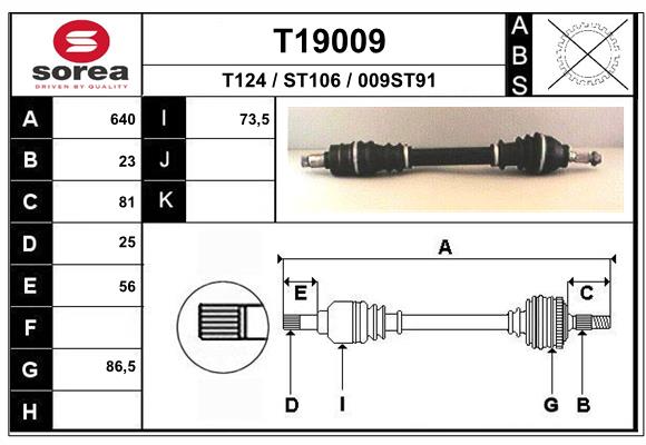 T19009