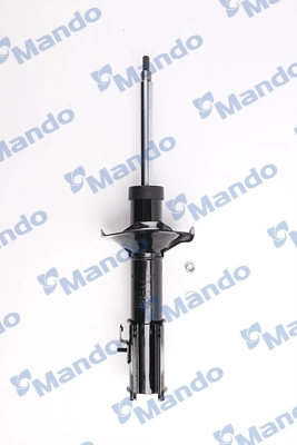 MSS016035