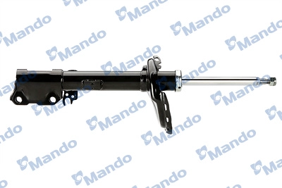 MSS020069