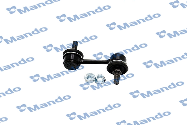 MSC010029