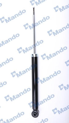 MSS016989